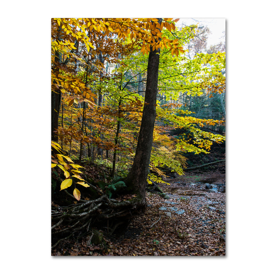 Kurt Shaffer Autumn Afternoon Canvas Art 18 x 24 Image 1