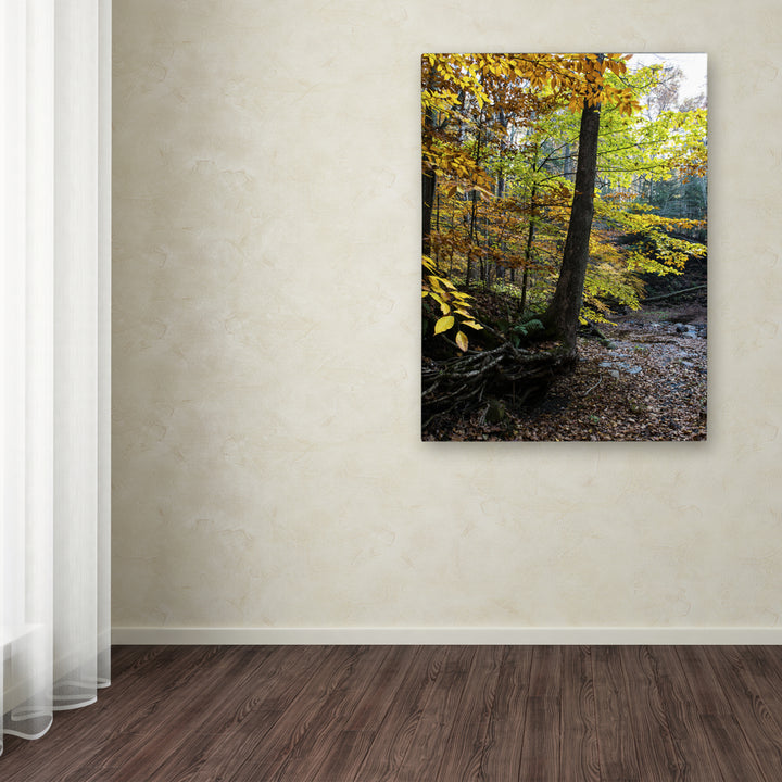 Kurt Shaffer Autumn Afternoon Canvas Art 18 x 24 Image 3