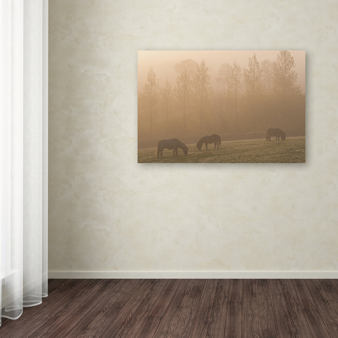 Adam Burton Ponies in the Mist Canvas Art 16 x 24 Image 3