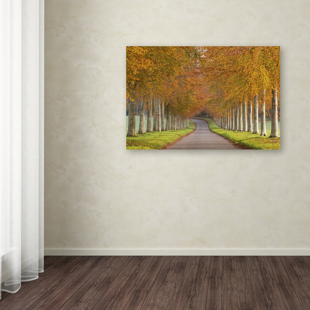Adam Burton Autumn Splendour Canvas Art 16 x 24 Image 3