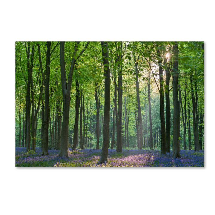 Adam Burton Spring Colours Canvas Art 16 x 24 Image 1