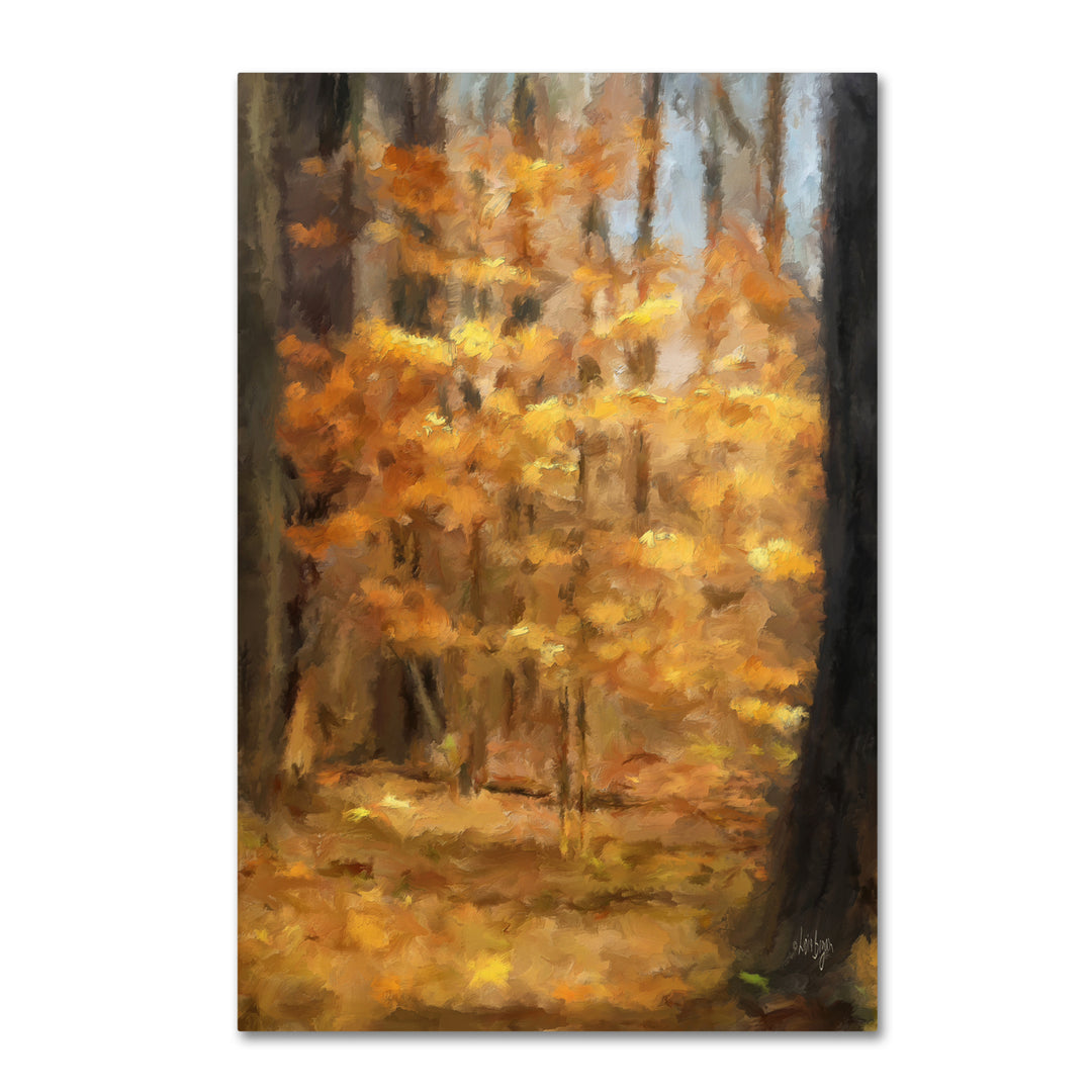 Lois Bryan A Tree Glows in the Forest Canvas Art 16 x 24 Image 1