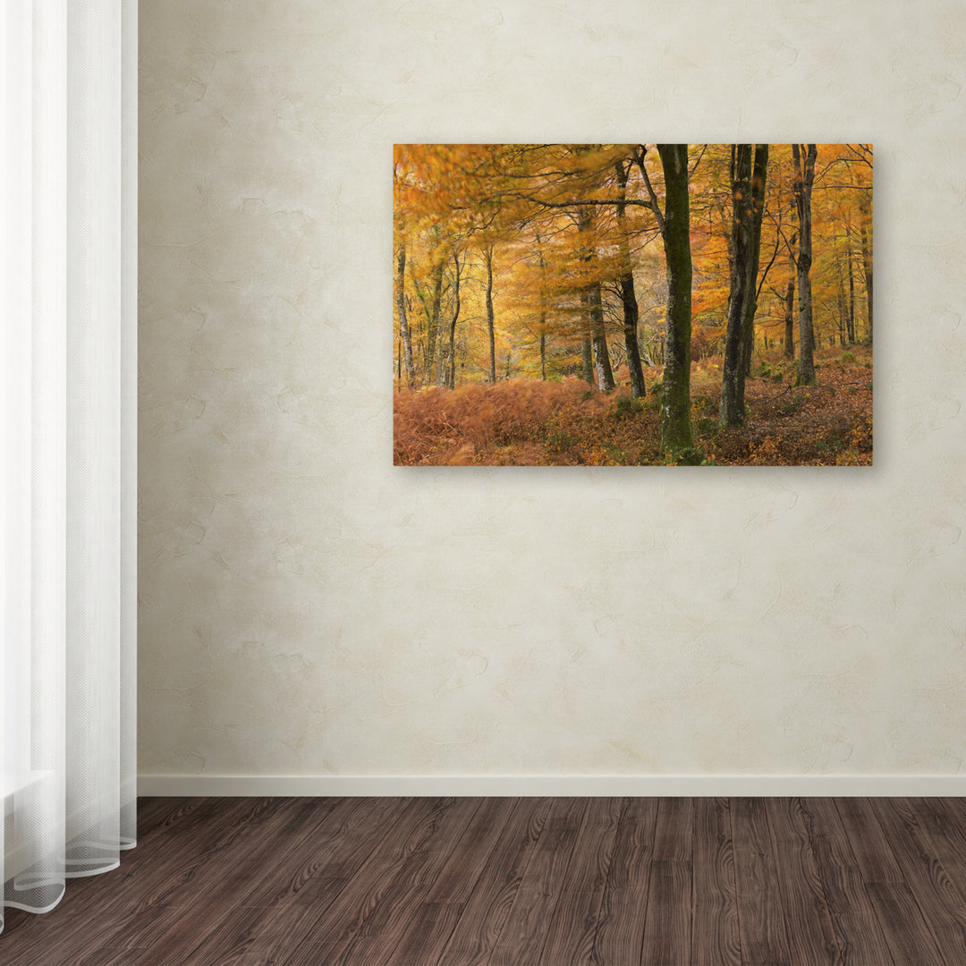 Adam Burton Autumn Winds Canvas Art 16 x 24 Image 3