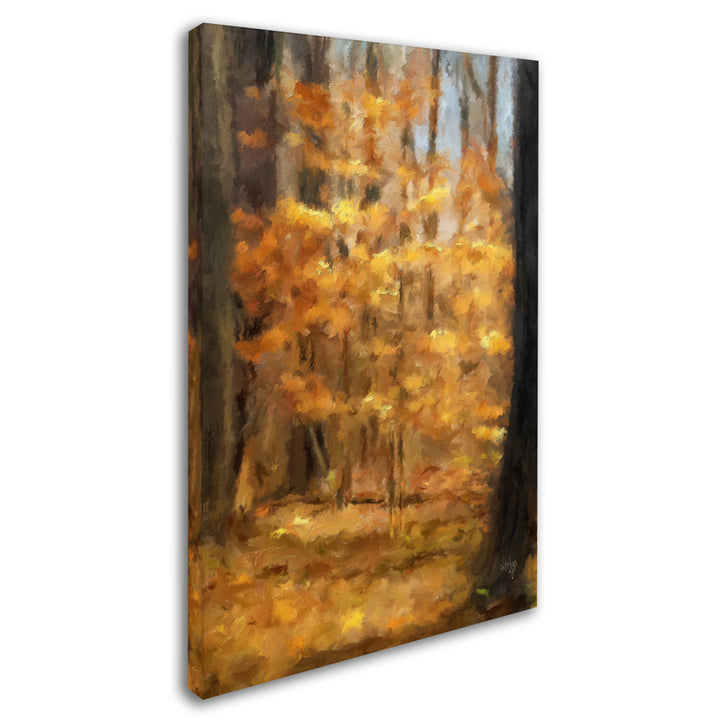Lois Bryan A Tree Glows in the Forest Canvas Art 16 x 24 Image 2