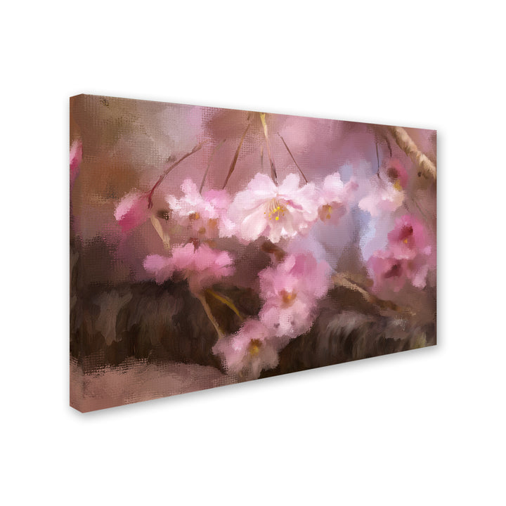 Lois Bryan Blushing Cherry Blossoms Canvas Art 16 x 24 Image 2