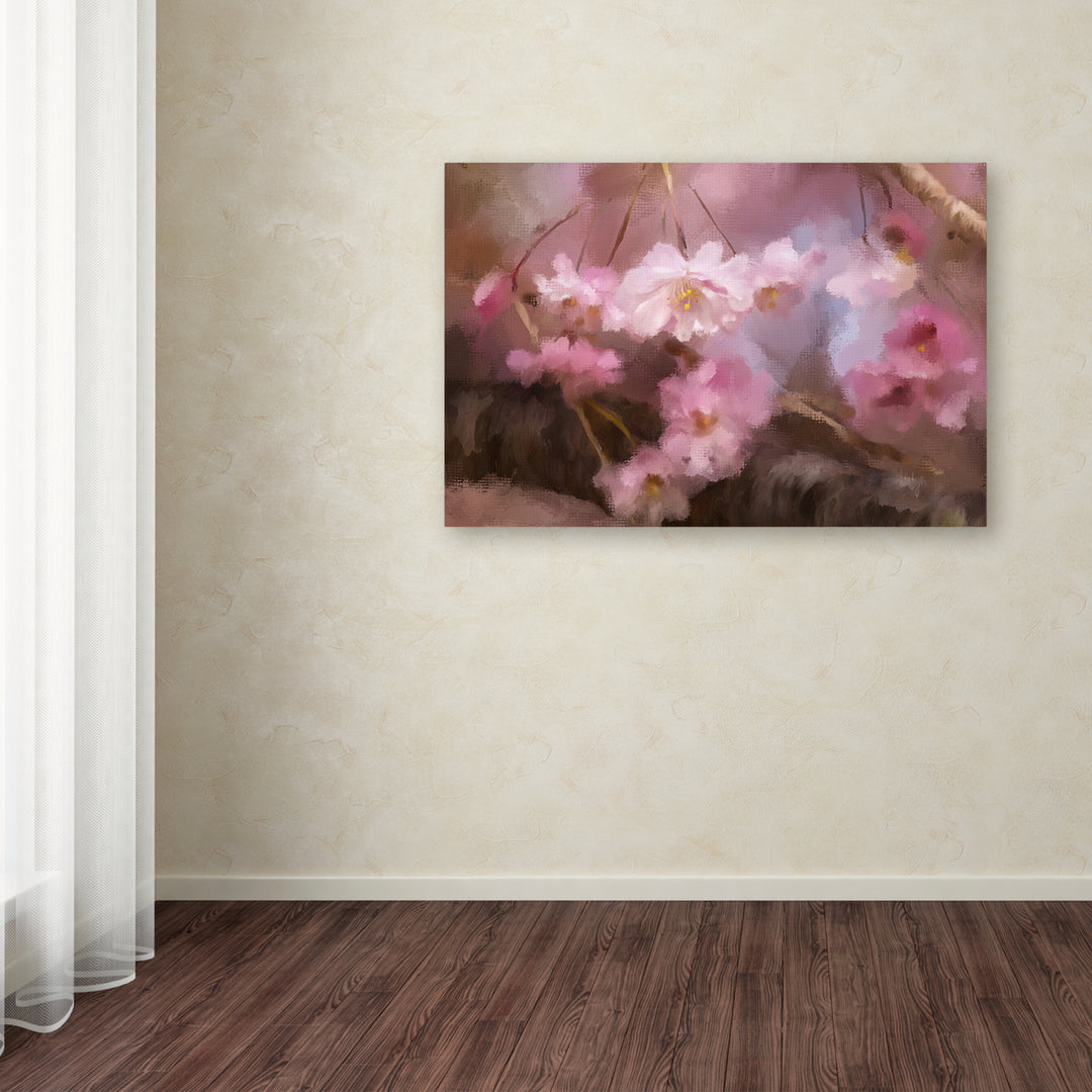 Lois Bryan Blushing Cherry Blossoms Canvas Art 16 x 24 Image 3