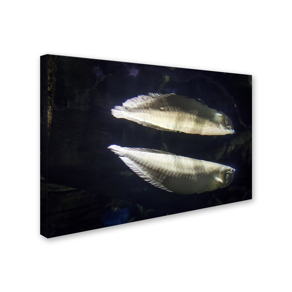 Yale Gurney Fish-Fish Canvas Art 16 x 24 Image 2