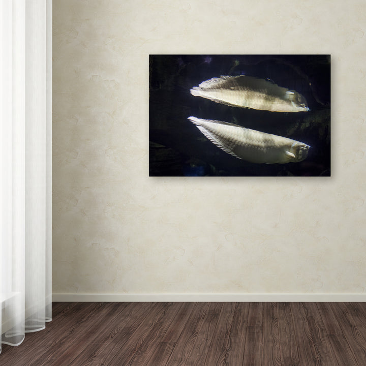 Yale Gurney Fish-Fish Canvas Art 16 x 24 Image 3