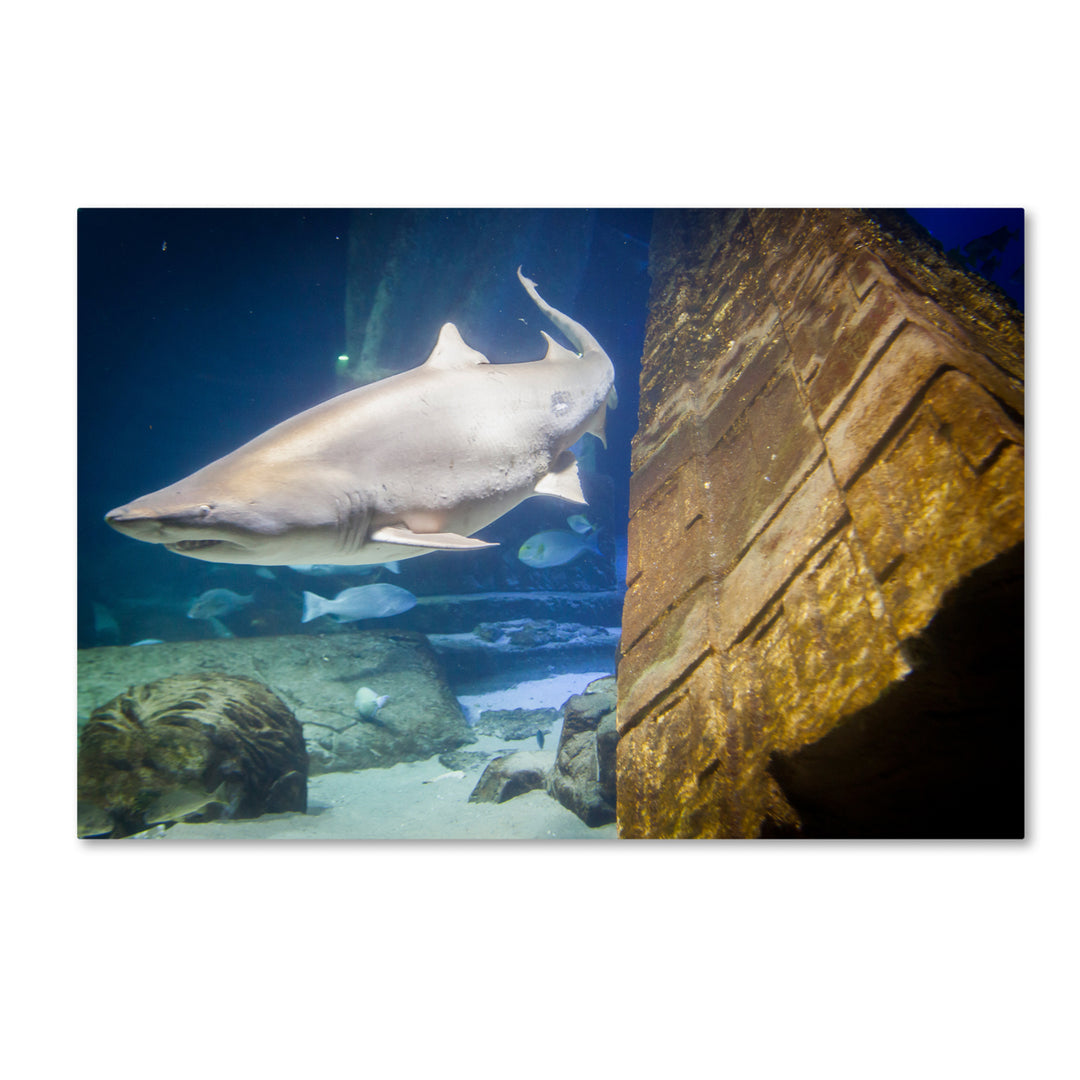 Yale Gurney Sharks Lair Canvas Art 16 x 24 Image 1