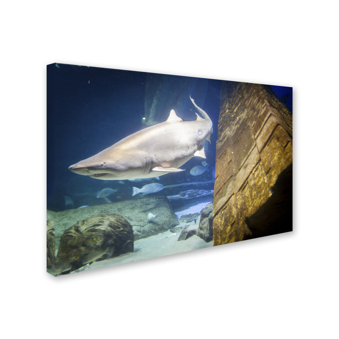 Yale Gurney Sharks Lair Canvas Art 16 x 24 Image 2