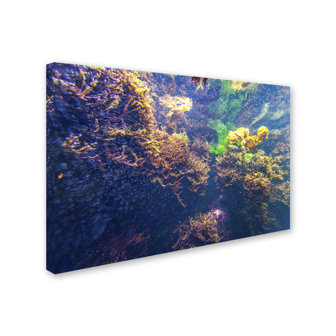 Yale Gurney Underwater Abstract Canvas Art 16 x 24 Image 2