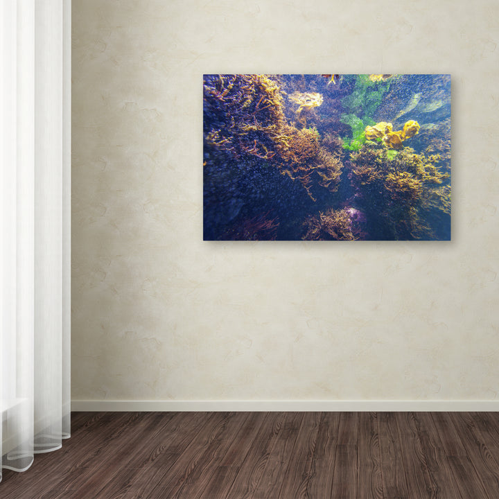 Yale Gurney Underwater Abstract Canvas Art 16 x 24 Image 3