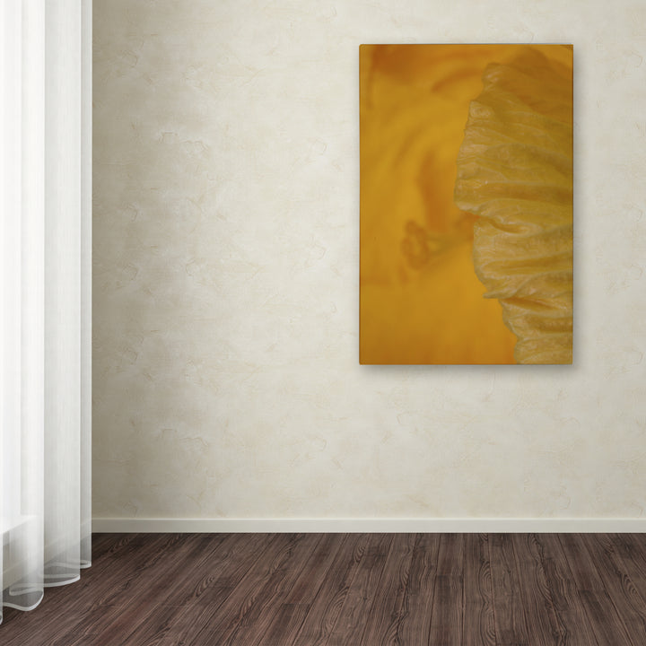 Kurt Shaffer Yellow Hibiscus Study II Canvas Art 16 x 24 Image 3