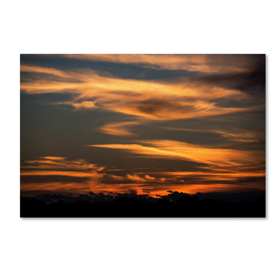 Kurt Shaffer Sunset of my Dreams Canvas Art 16 x 24 Image 1