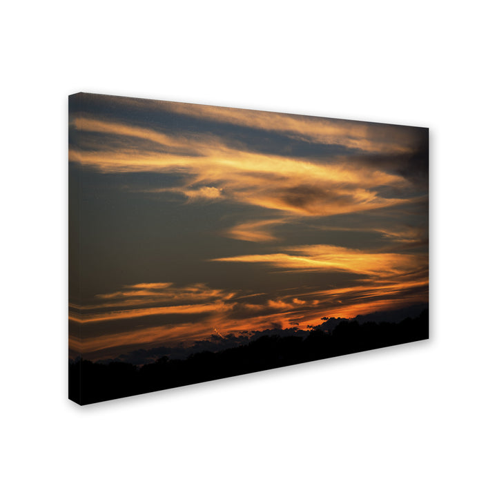Kurt Shaffer Sunset of my Dreams Canvas Art 16 x 24 Image 2