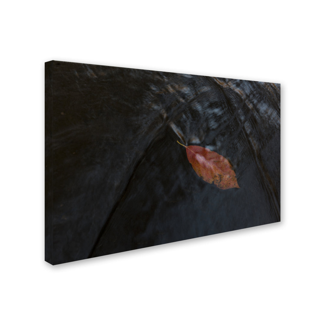 Kurt Shaffer A Leaf in the Stream Canvas Art 16 x 24 Image 2