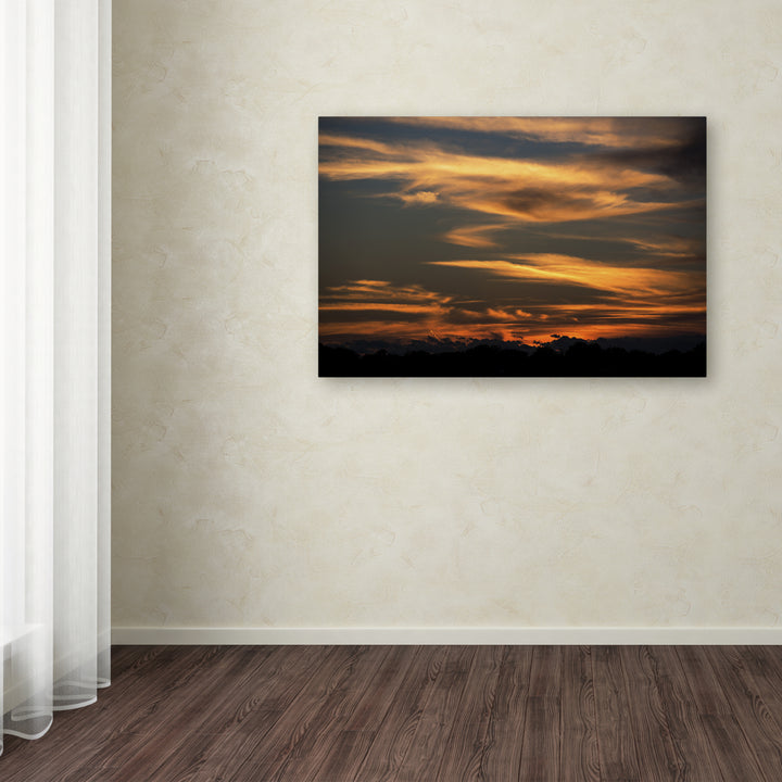 Kurt Shaffer Sunset of my Dreams Canvas Art 16 x 24 Image 3