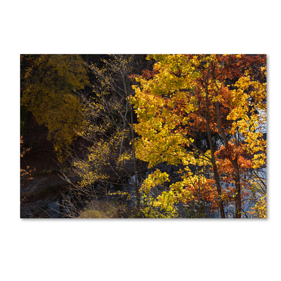 Kurt Shaffer Autumn Overlook Canvas Art 16 x 24 Image 1
