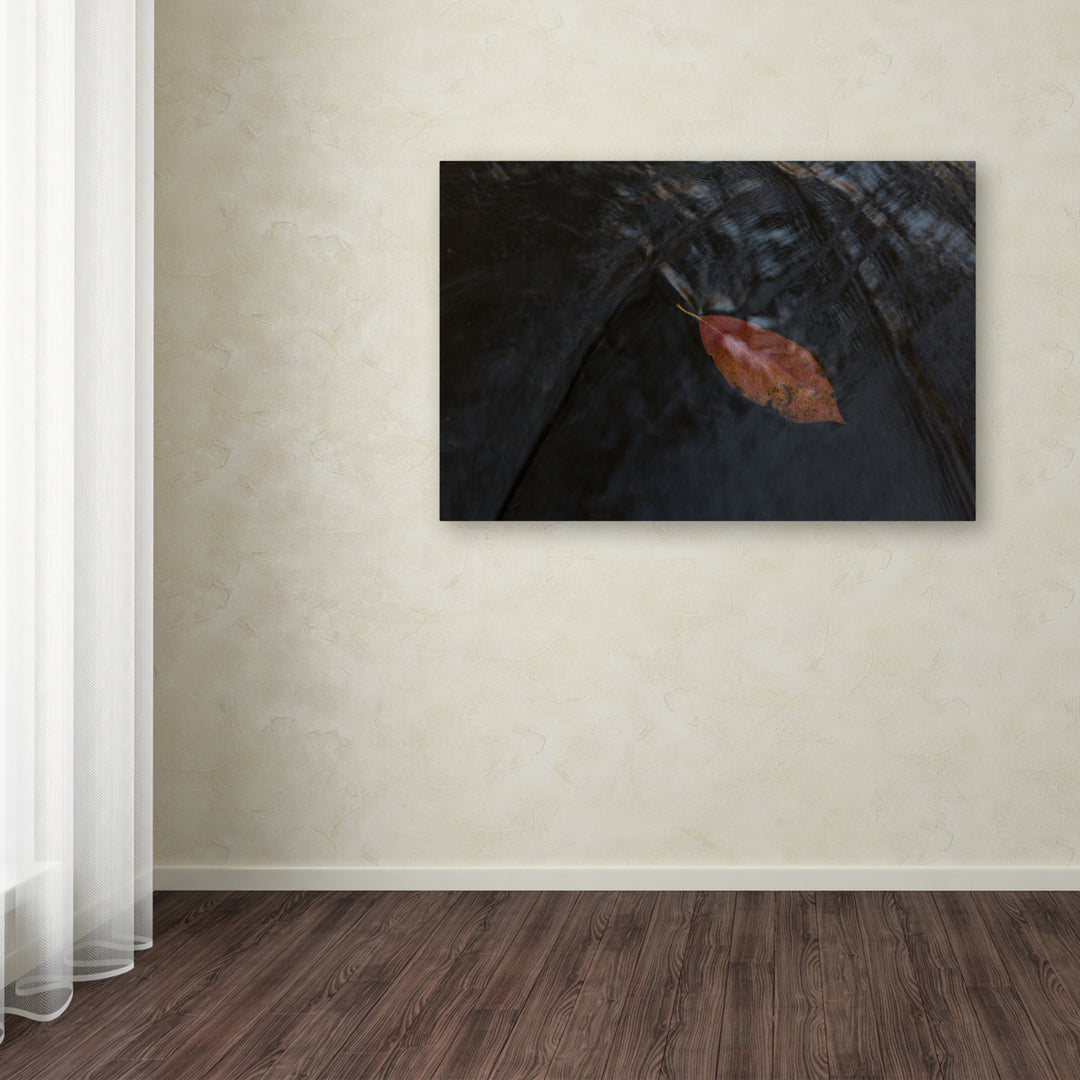 Kurt Shaffer A Leaf in the Stream Canvas Art 16 x 24 Image 3