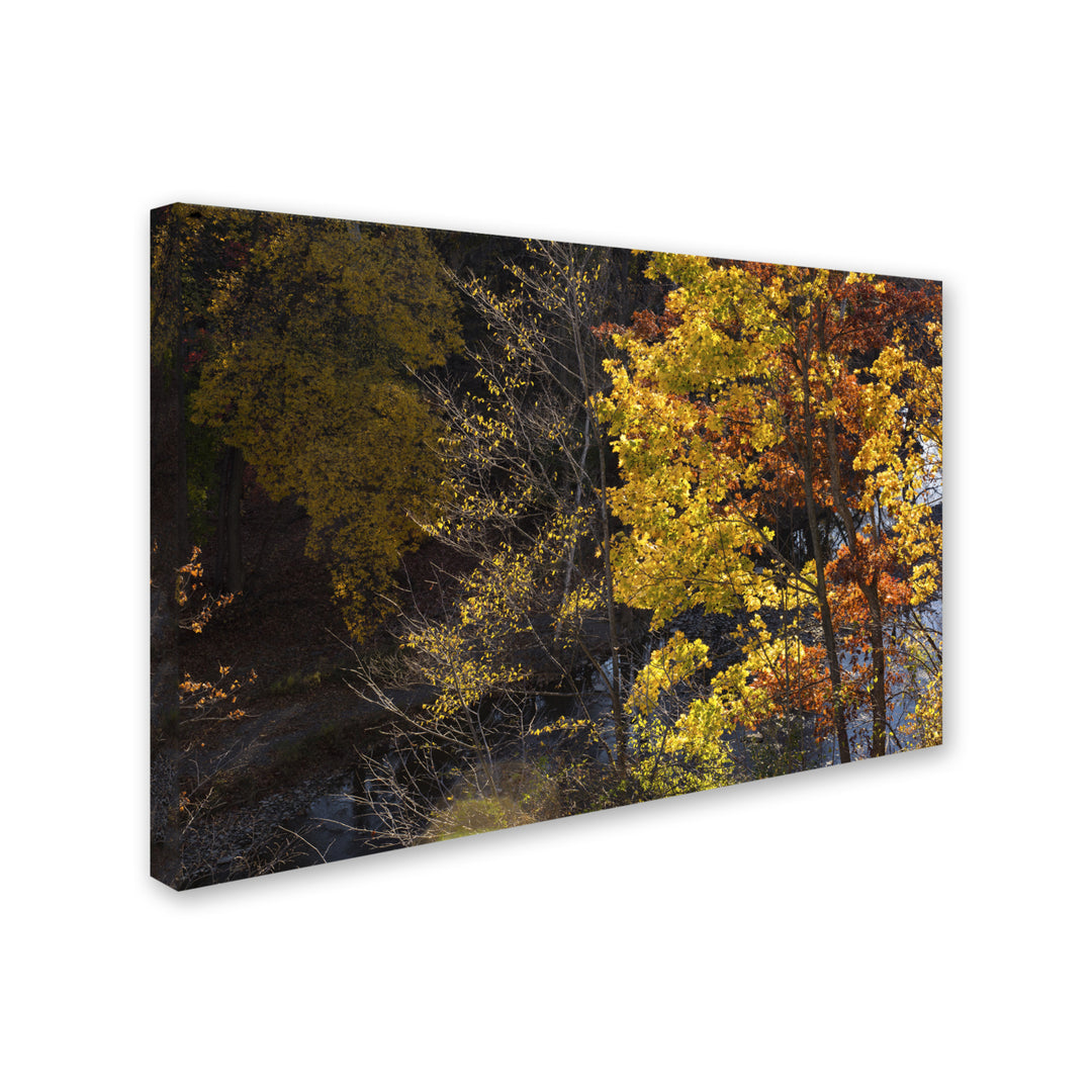 Kurt Shaffer Autumn Overlook Canvas Art 16 x 24 Image 2
