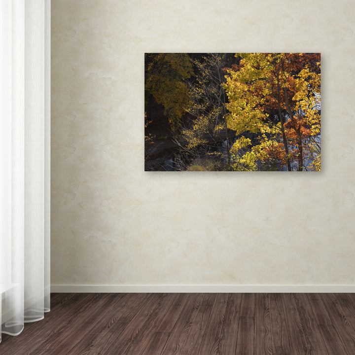 Kurt Shaffer Autumn Overlook Canvas Art 16 x 24 Image 3