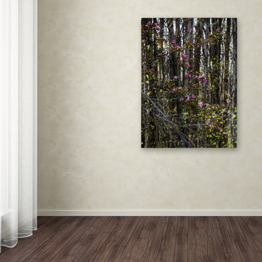 Kurt Shaffer Springtime in the Forest Canvas Art Image 3