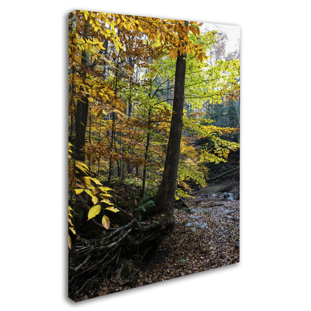 Kurt Shaffer Autumn Afternoon Canvas Art Image 2