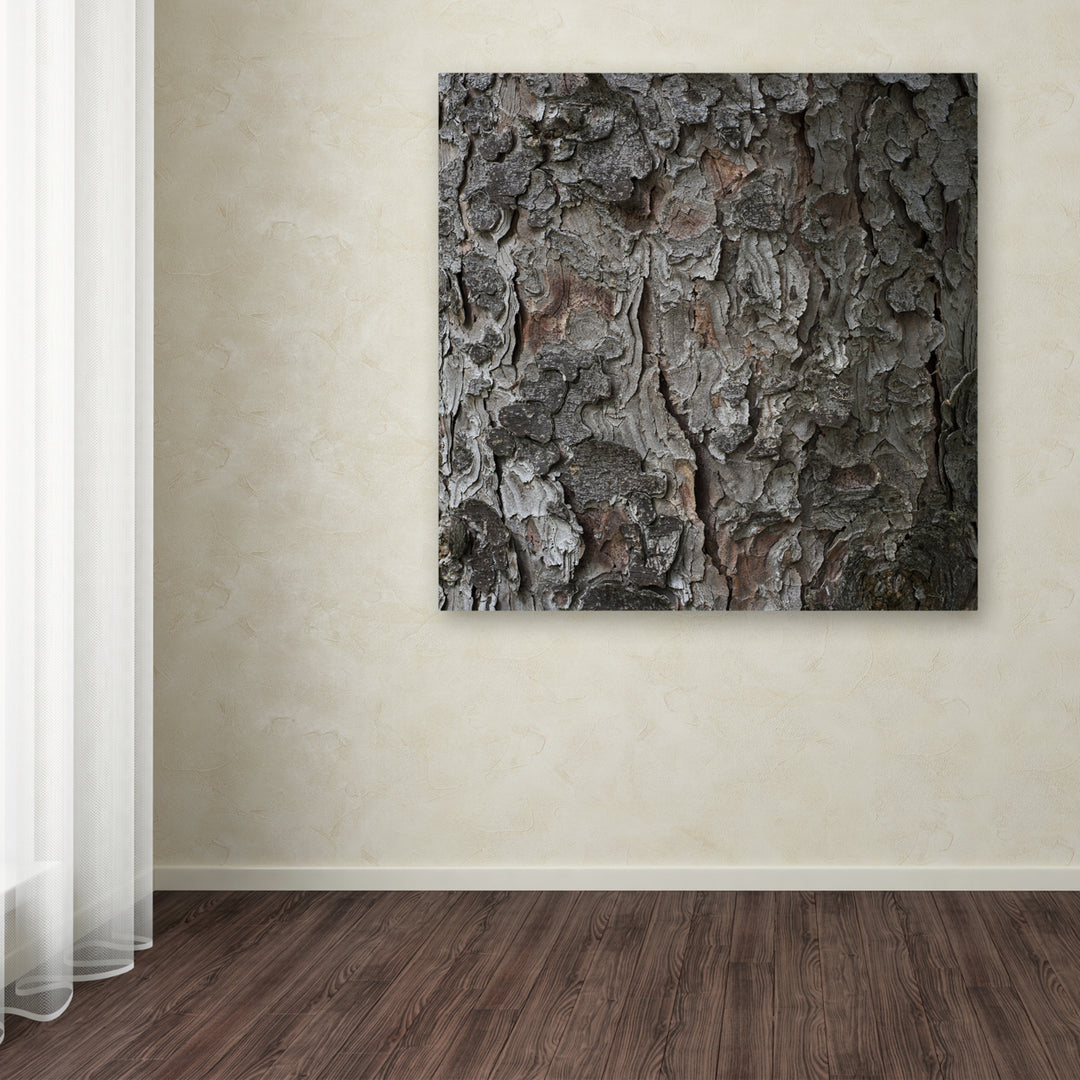 Kurt Shaffer Pine Tree Large Canvas Art 35 x 35 Image 3