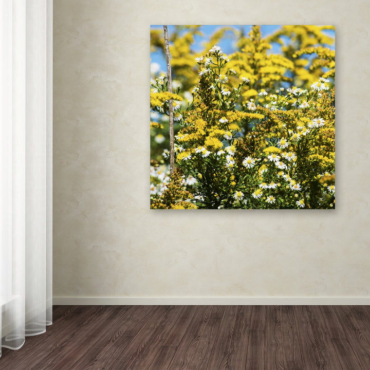 Kurt Shaffer Sunny Meadow Large Canvas Art 35 x 35 Image 3