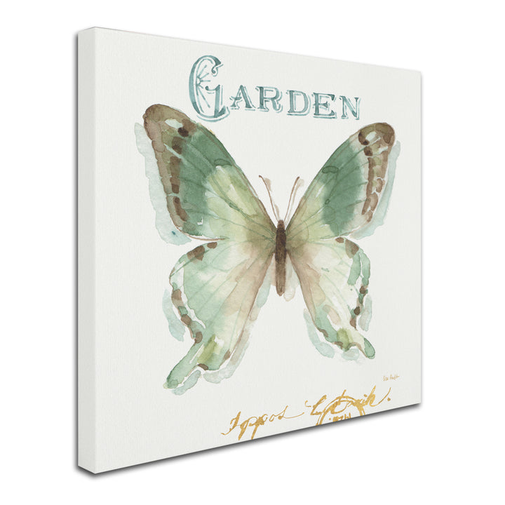 Lisa Audit My Greenhouse Butterflies III Large Canvas Art 35 x 35 Image 2