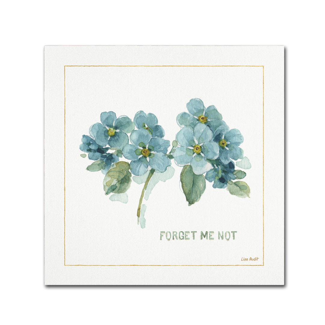 Lisa Audit My Greenhouse Forget Me Not Large Canvas Art 35 x 35 Image 1