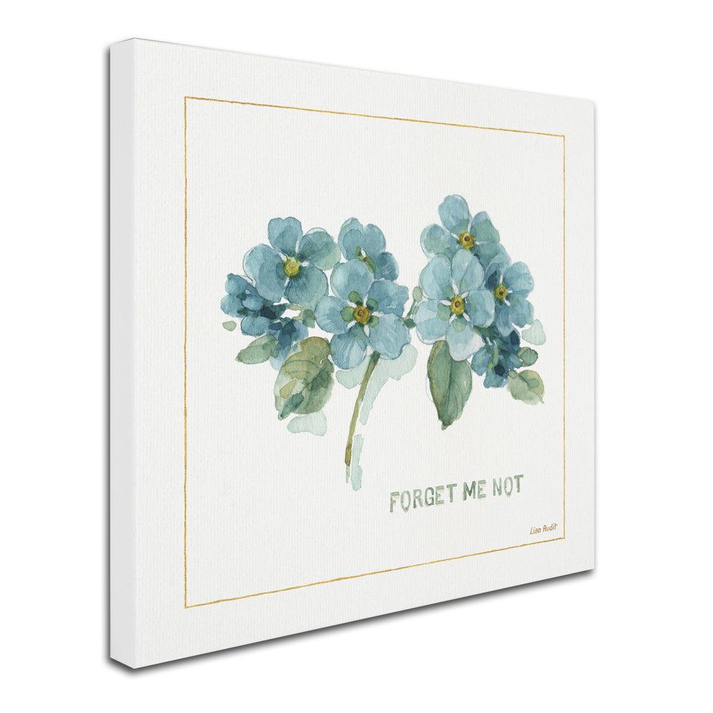 Lisa Audit My Greenhouse Forget Me Not Large Canvas Art 35 x 35 Image 2