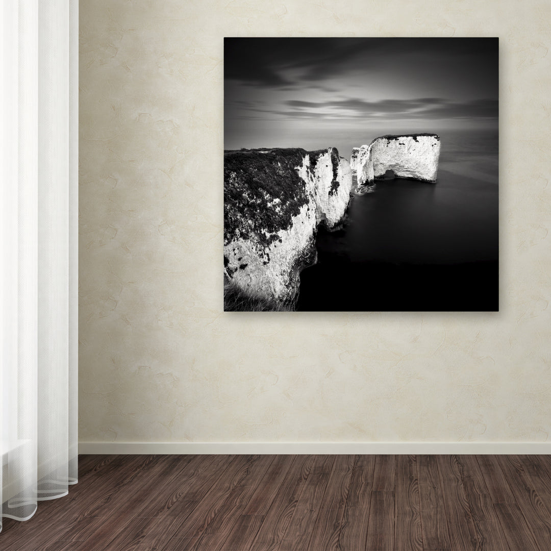 Rob Cherry Old Harry Large Canvas Art 35 x 35 Image 3