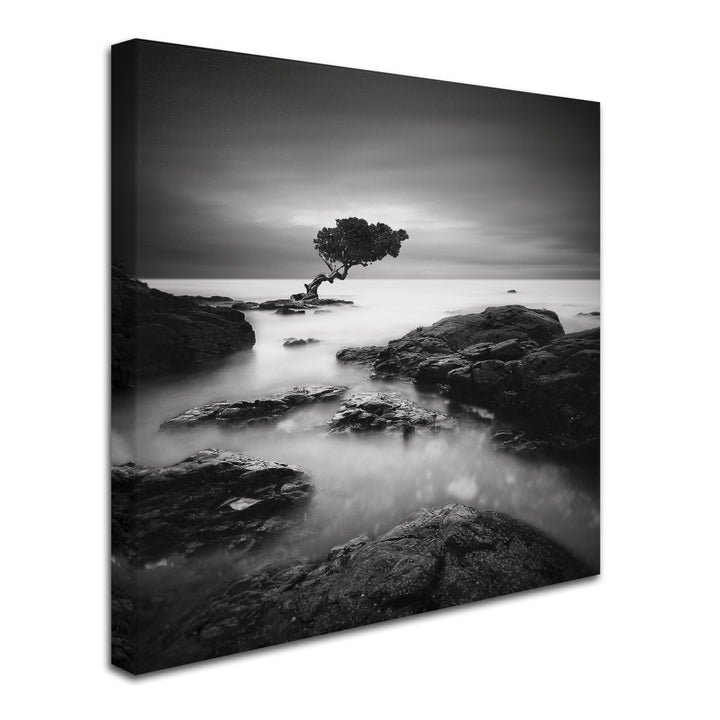 Rob Cherry Tree Of Temptation Large Canvas Art 35 x 35 Image 2