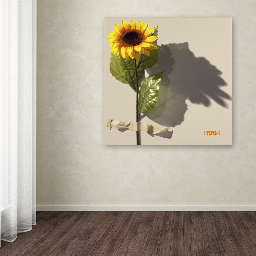 Roderick Stevens Sunflower Large Canvas Art 35 x 35 Image 3