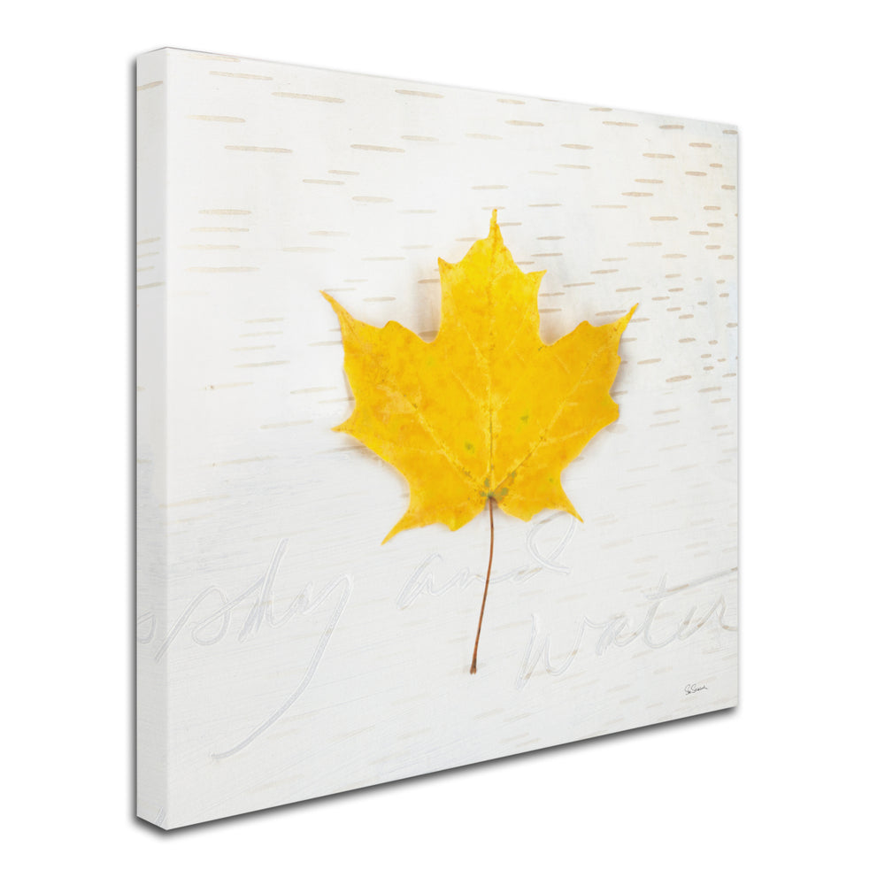 Sue Schlabach Autumn Colors II Large Canvas Art 35 x 35 Image 2