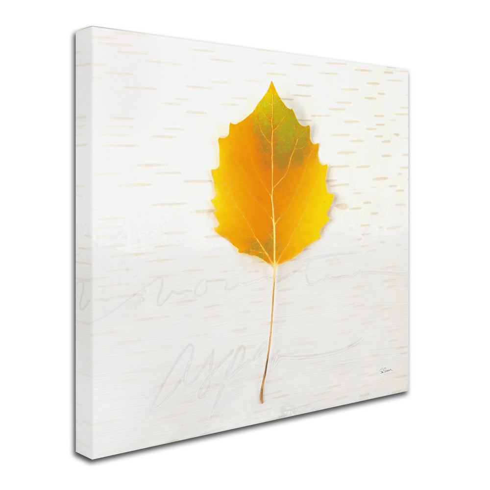 Sue Schlabach Autumn Colors III Large Canvas Art 35 x 35 Image 2