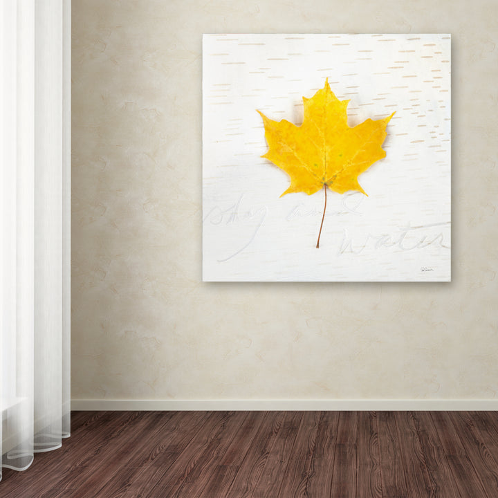 Sue Schlabach Autumn Colors II Large Canvas Art 35 x 35 Image 3