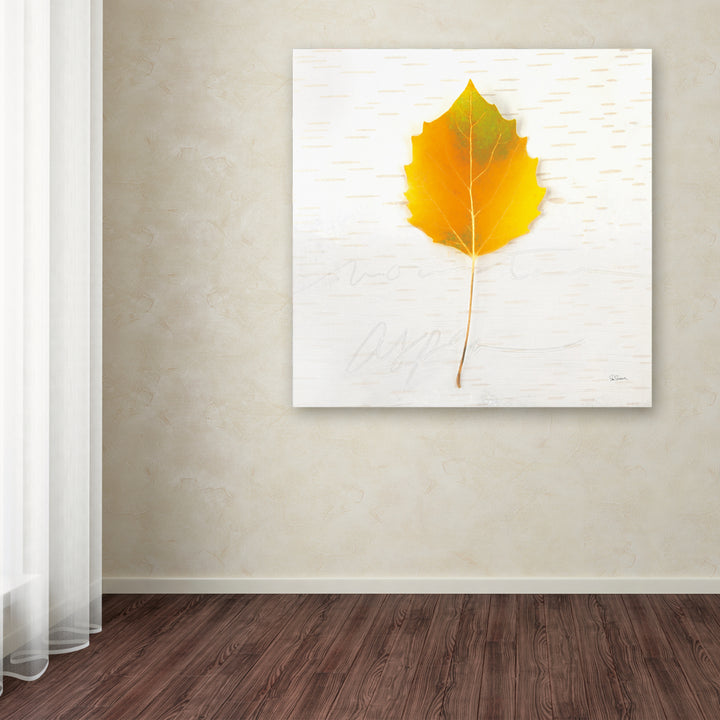 Sue Schlabach Autumn Colors III Large Canvas Art 35 x 35 Image 3