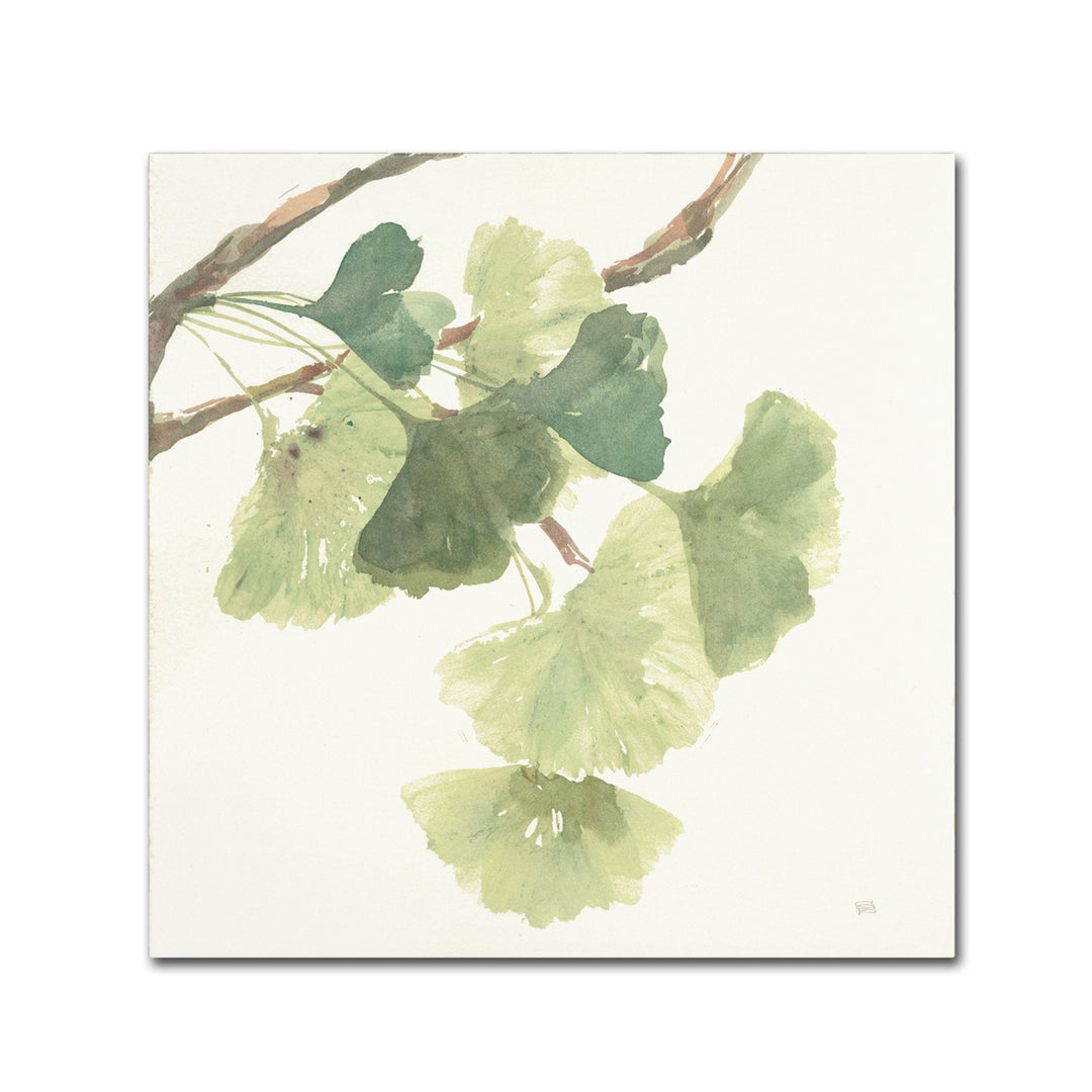 Chris Paschke Gingko Leaves I Light Canvas Art 24 x 24 Image 1