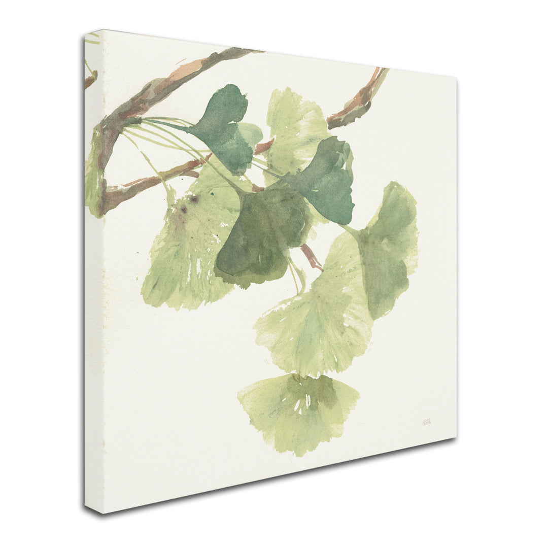 Chris Paschke Gingko Leaves I Light Canvas Art 24 x 24 Image 2