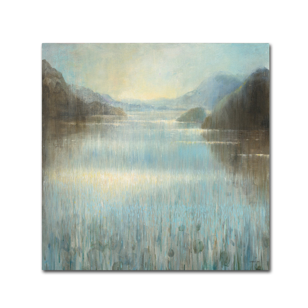 Danhui Nai Through the Mist Square Canvas Art 24 x 24 Image 1