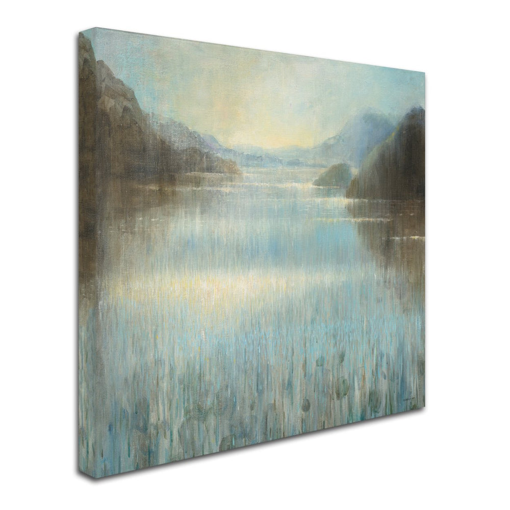 Danhui Nai Through the Mist Square Canvas Art 24 x 24 Image 2