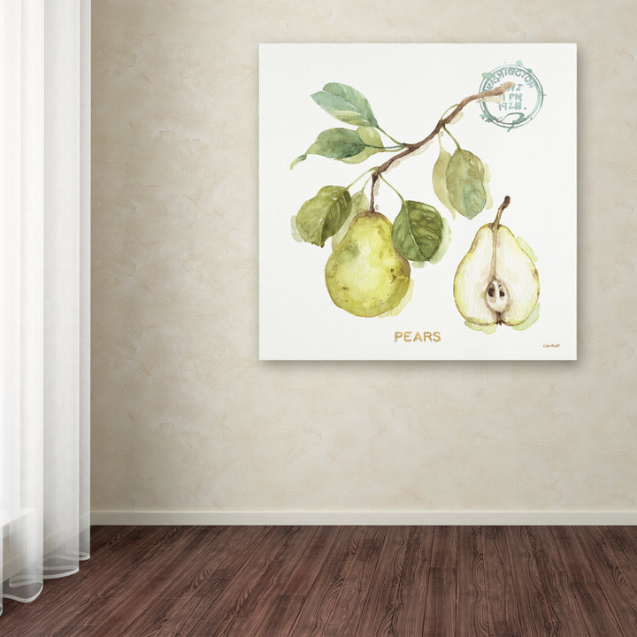 Lisa Audit My Greenhouse Fruit I Canvas Art 24 x 24 Image 3