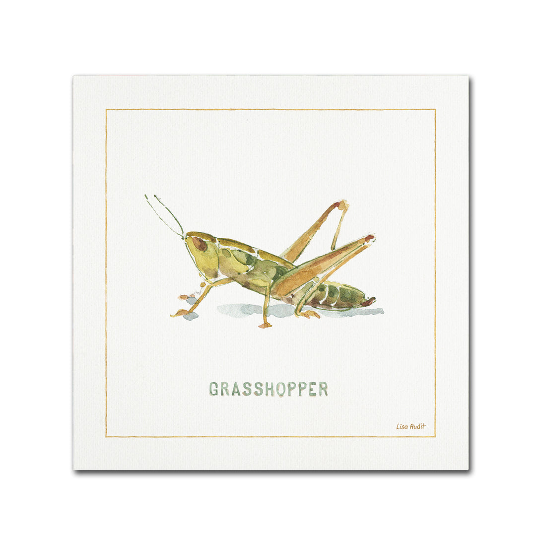 Lisa Audit My Greenhouse Grasshopper Canvas Art 24 x 24 Image 1