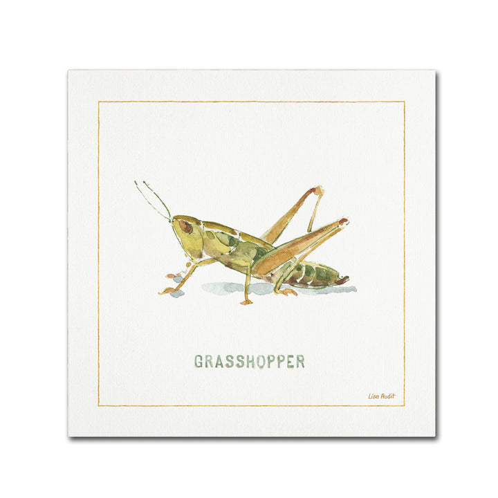 Lisa Audit My Greenhouse Grasshopper Canvas Art 24 x 24 Image 1