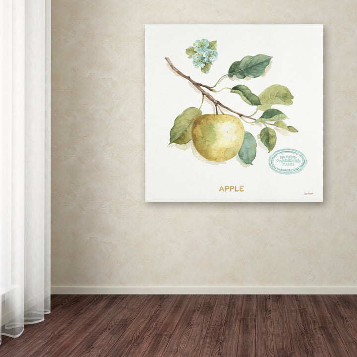 Lisa Audit My Greenhouse Fruit IV Canvas Art 24 x 24 Image 3