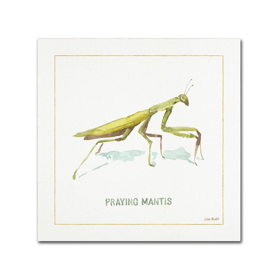 Lisa Audit My Greenhouse Praying Mantis Canvas Art 24 x 24 Image 1