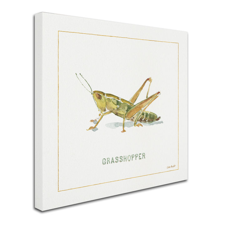 Lisa Audit My Greenhouse Grasshopper Canvas Art 24 x 24 Image 2