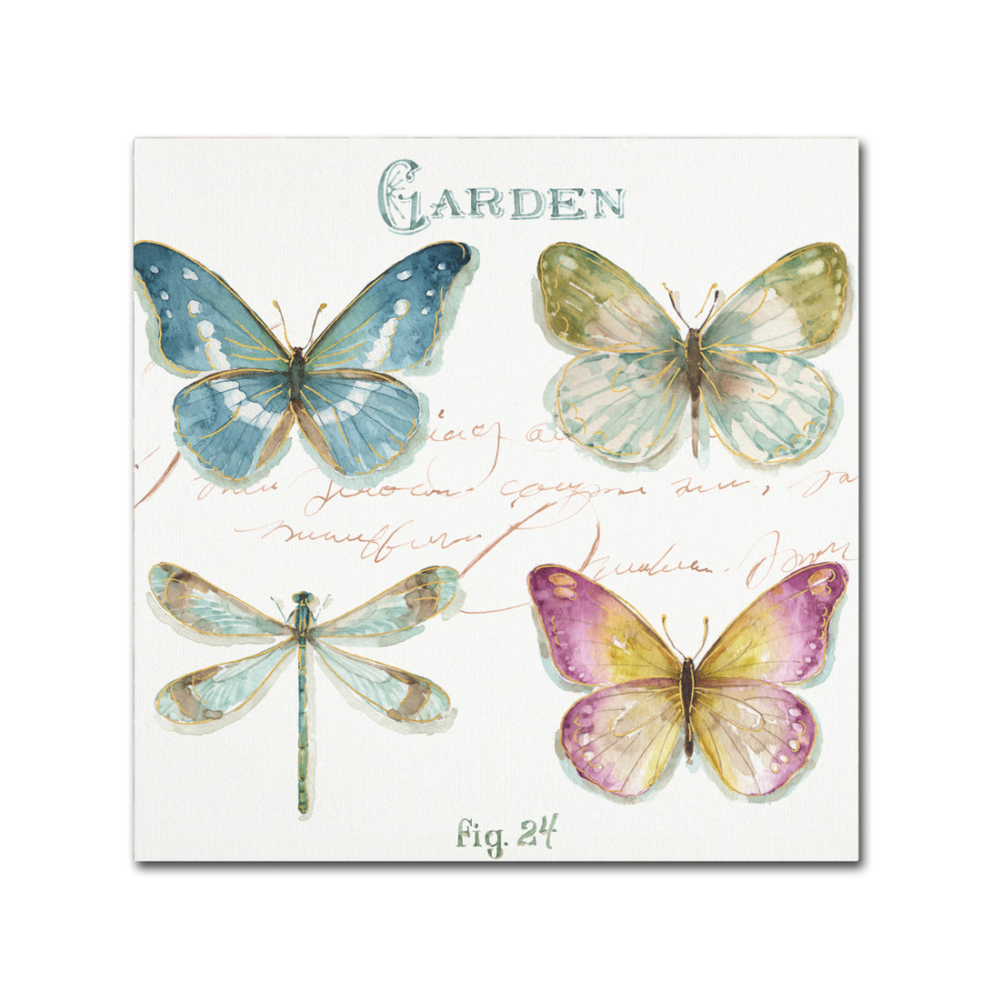 Lisa Audit Rainbow Seeds Butterflies IV Canvas Art 24 x 24 Image 1